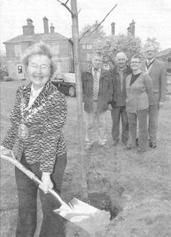 Sadie Smith planting a tree. Courtesy of the Express and Star