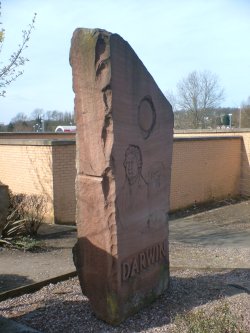 Erasmus Darwin Stone